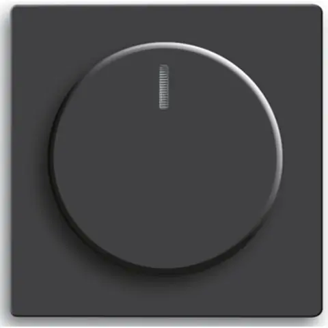 Endast idag ABB 2CKA006599A3035 Centrumplatta
